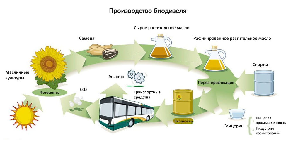 схема производства биодизеля