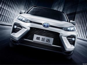 Toyota Wildlander 2021